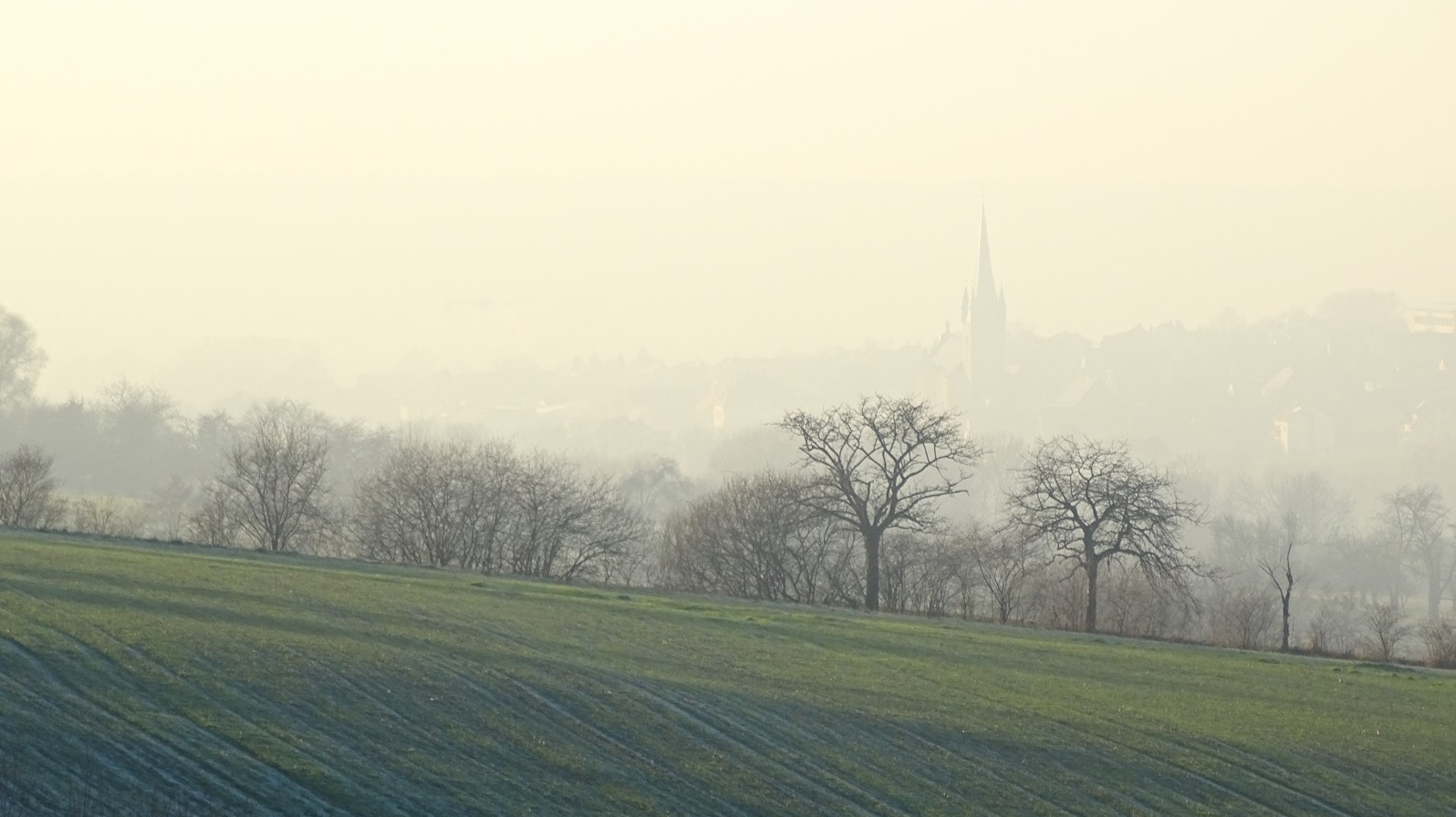 Blick nach Litzendorf